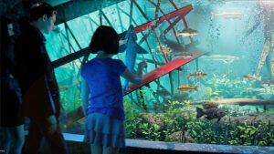 Screenshot 2025 06 18 155743