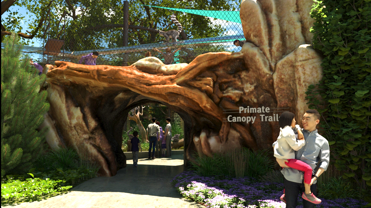 Primate Canopy Trails