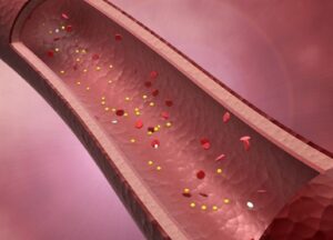 ldlhdl bloodstream medical animation
